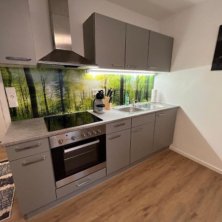 Modernes 4Er Apartment In Skilift-Naehe Zell am See Exterior photo